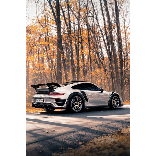 Acrylglasbild - Porsche in the Woods